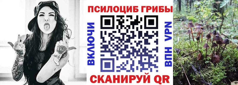 как найти закладки  Барабинск  Галлюциногенные грибы GOLDEN TEACHER 