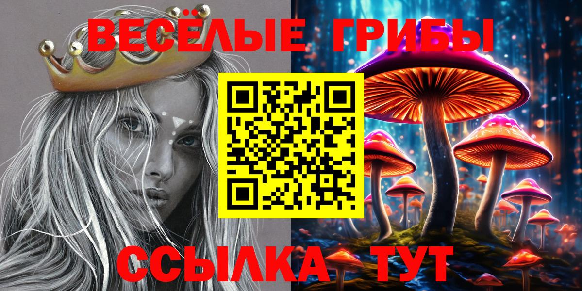 Псилоцибиновые грибы мухоморы  Вход с VPN  сколько стоит  Барабинск 